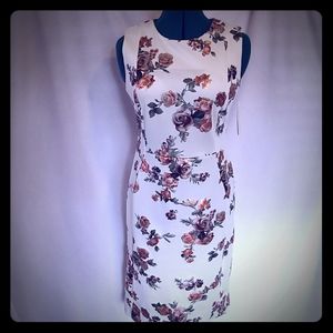 Shelby & Palmer Sheath Dress